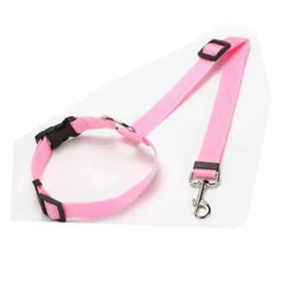 SafeRide DuoLeash – 2-in-1 Car Seat Belt & Walking Leash for Dogs on the Move