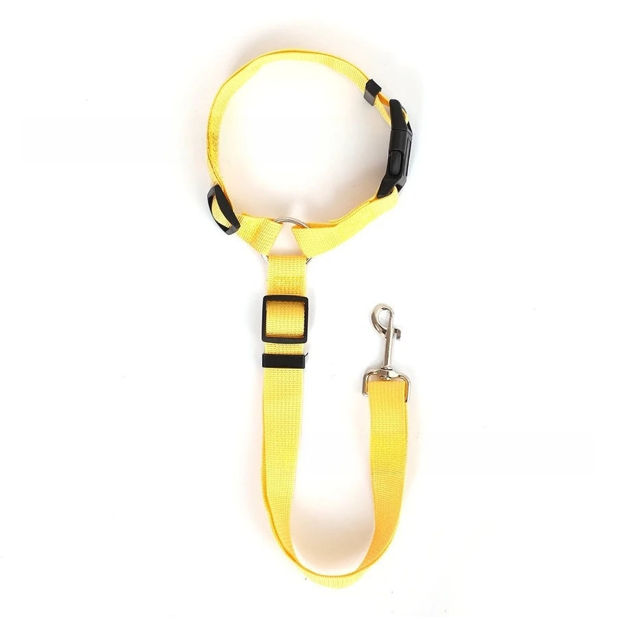 SafeRide DuoLeash – 2-in-1 Car Seat Belt & Walking Leash for Dogs on the Move